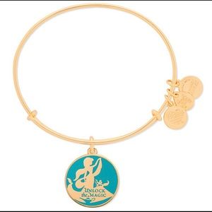 Jasmine Disney Parks Alex and Ani Bracelet